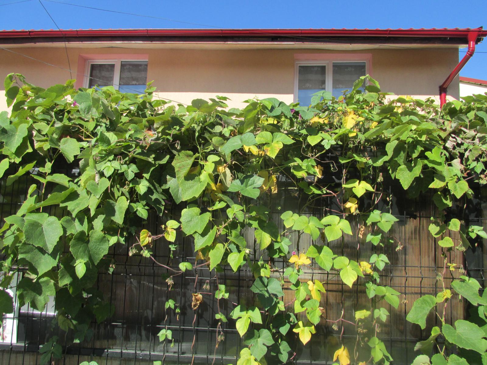 Apartament de vânzare 2 camere Central - 17036AV | BLITZ Cluj-Napoca | Poza2