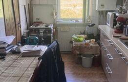 Apartament de vanzare, cu 2 camere, 55 mp, zona Iris