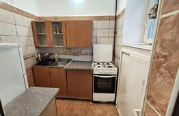 Apartament 3 camere, pet friendly zona Centrala