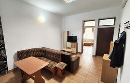 Apartament 3 camere, pet friendly, zona Centrala