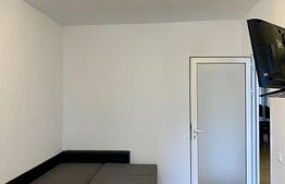 Apartament  pet friendly cu 3 camere, 90 mp, zona Centrala