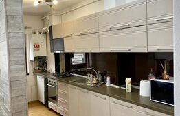 Apartament  pet friendly cu 3 camere, 90 mp, zona Centrala