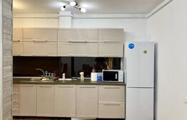 Apartament  pet friendly cu 3 camere, 90 mp, zona Centrala