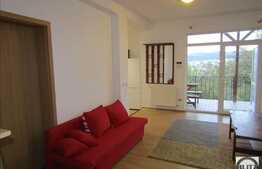 Apartament in casa, 3 camere, 100 mp, mobilat dragut, zona Hotel Premier