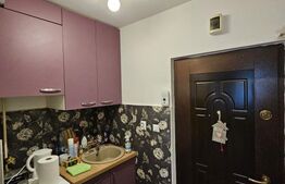 Apartament de vanzare, cu o camera, 21 mp, zona Strada Fabricii