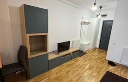 Apartament de vanzare, cu o camera, 48 mp, zona Zorilor