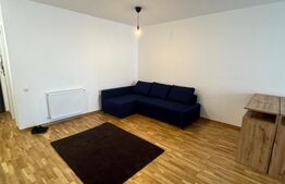 Apartament de vanzare, cu o camera, 48 mp, zona Zorilor