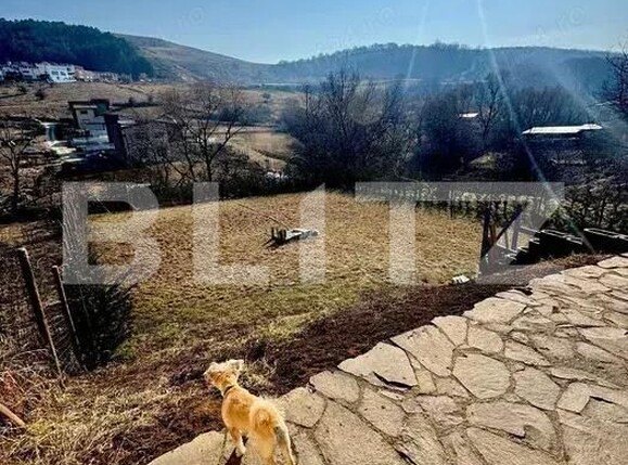 Casa de vânzare 6 camere Floreşti - 170474CV | BLITZ Cluj-Napoca | Poza2