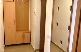 Apartament  cu 1 camera decomandata,balcon, 41 mp, zona USAMV / PLATINIA