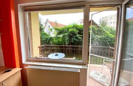 Apartament  cu 1 camera decomandata,balcon, 41 mp, zona USAMV / PLATINIA