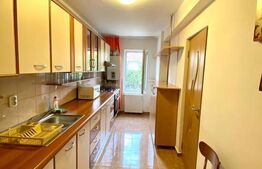 Apartament  cu 1 camera decomandata,balcon, 41 mp, zona USAMV / PLATINIA