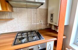 Apartament  cu 1 camera decomandata,balcon, 41 mp, zona USAMV / PLATINIA