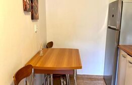 Apartament  cu 1 camera decomandata,balcon, 41 mp, zona USAMV / PLATINIA