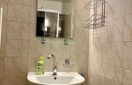 Apartament  cu 1 camera decomandata,balcon, 41 mp, zona USAMV / PLATINIA