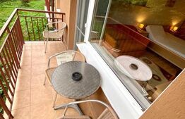 Apartament  cu 1 camera decomandata,balcon, 41 mp, zona USAMV / PLATINIA