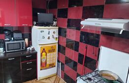 Duplex, 150mp in Copaceni langa Turda