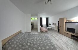 Garsoniera de inchiriat, 38 mp, pet friendly, zona Parang