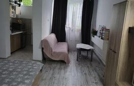 Garsoniera de inchiriat, 38 mp, pet friendly, zona Parang