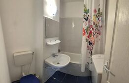 Garsoniera de inchiriat, 38 mp, pet friendly, zona Parang