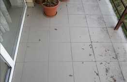 De inchiriat 1 camera, 39 mp! Parcare! Complet mobilat! Zona strazii Florilor!