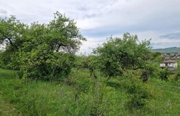 Teren extravilan de vânzare – 1000 mp, livada, ideal pentru casa !