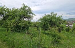 Teren extravilan de vânzare – 1000 mp, livada, ideal pentru casa !