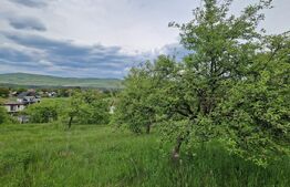 Teren extravilan de vânzare – 1000 mp, livada, ideal pentru casa !