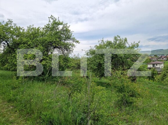 Teren de vânzare Gilău - 170654TV | BLITZ Cluj-Napoca | Poza2