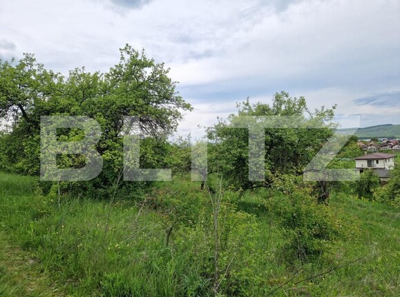 Teren de vânzare Gilău - 170654TV | BLITZ Cluj-Napoca | Poza3