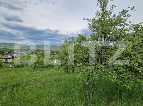Teren de vânzare Gilău - 170654TV | BLITZ Cluj-Napoca | Poza1