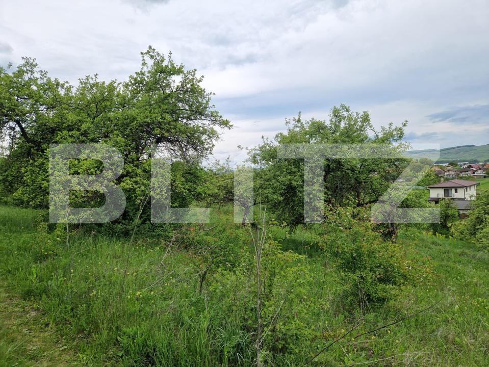 Teren de vânzare Gilău - 170654TV | BLITZ Cluj-Napoca | Poza2