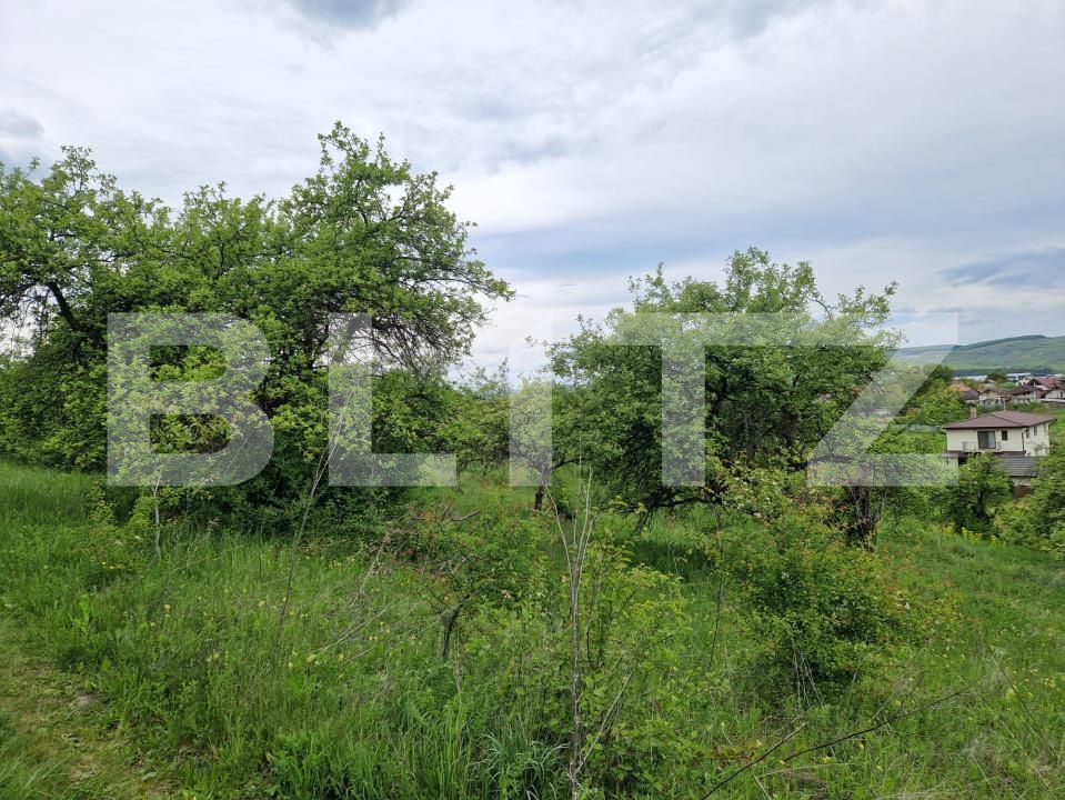 Teren de vânzare Gilău - 170654TV | BLITZ Cluj-Napoca | Poza3