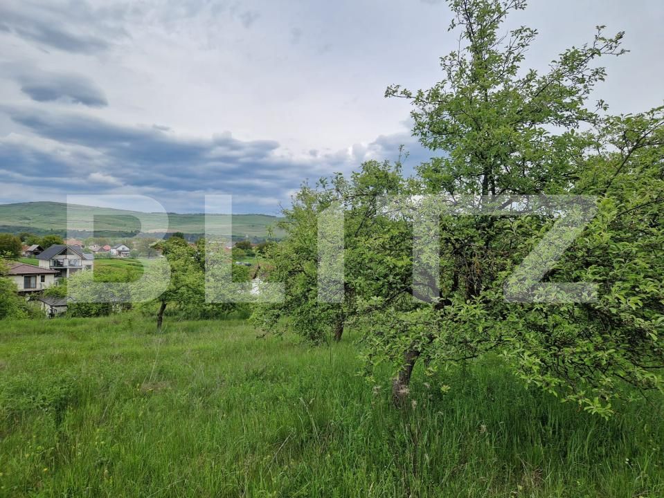 Teren de vânzare Gilău - 170654TV | BLITZ Cluj-Napoca | Poza1