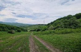 Teren extravilan de vânzare Vlaha 14.500 mp, zonă superbă, ideal pentru cabană !