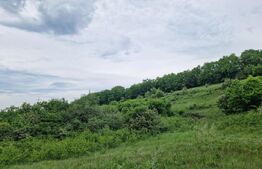 Teren extravilan de vânzare Vlaha 14.500 mp, zonă superbă, ideal pentru cabană !