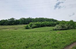 Teren extravilan de vânzare Vlaha 14.500 mp, zonă superbă, ideal pentru cabană !