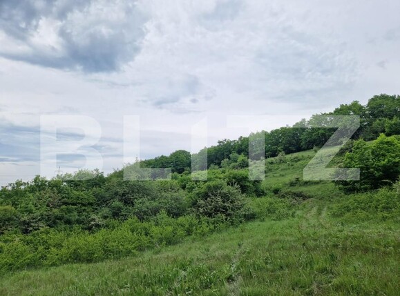 Teren de vânzare Gilău - 170655TV | BLITZ Cluj-Napoca | Poza2