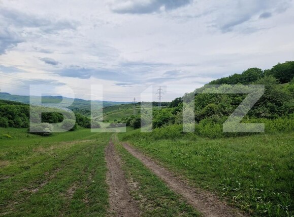 Teren de vânzare Gilău - 170655TV | BLITZ Cluj-Napoca | Poza3