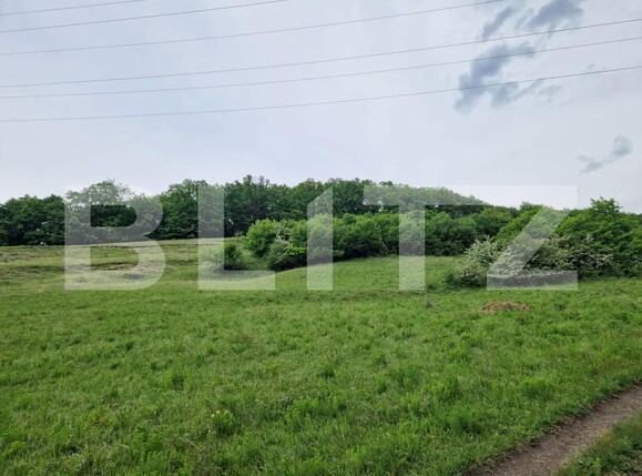 Teren de vânzare Gilău - 170655TV | BLITZ Cluj-Napoca | Poza1