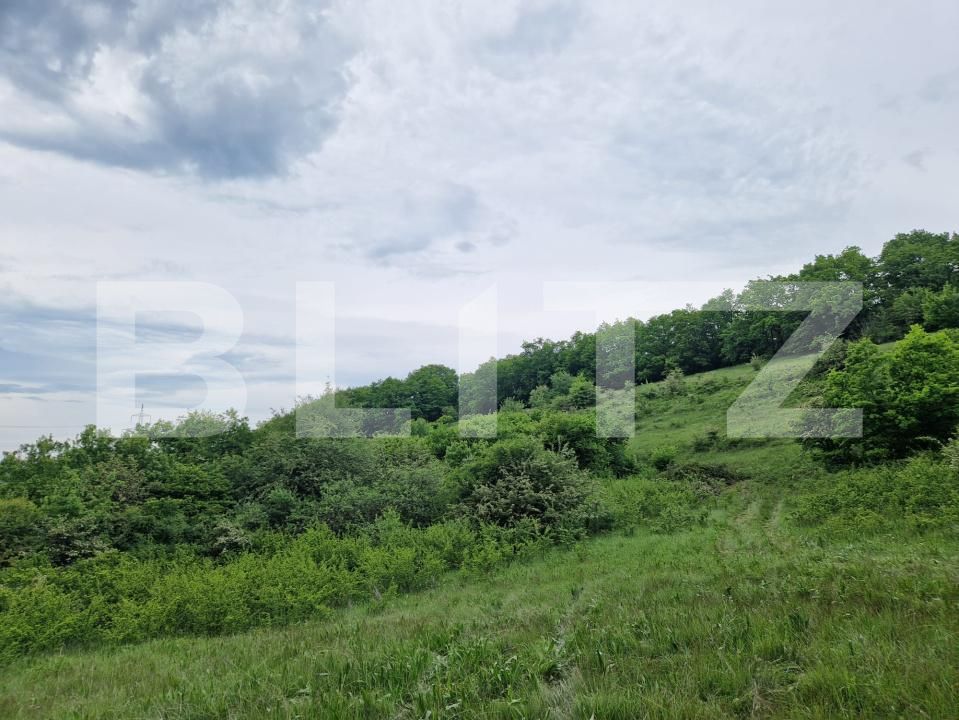 Teren de vânzare Gilău - 170655TV | BLITZ Cluj-Napoca | Poza2