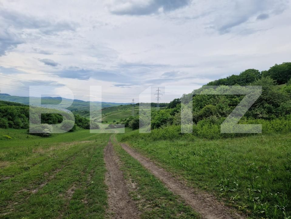 Teren de vânzare Gilău - 170655TV | BLITZ Cluj-Napoca | Poza3