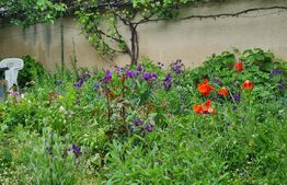 Oportunitate! Casa Bod pe un singur nivel, teren 980 mp pivnita, garaj ,mobilata