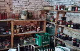 Oportunitate! Casa Bod pe un singur nivel, teren 980 mp pivnita, garaj ,mobilata