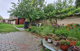 Oportunitate! Casa Bod pe un singur nivel, teren 980 mp pivnita, garaj ,mobilata