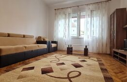 Oportunitate! Casa Bod pe un singur nivel, teren 980 mp pivnita, garaj ,mobilata