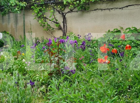 Casa de vânzare 3 camere Bod - 170657CV | BLITZ Brașov | Poza5