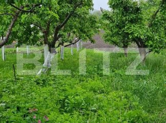 Casa de vânzare 3 camere Bod - 170657CV | BLITZ Brașov | Poza1