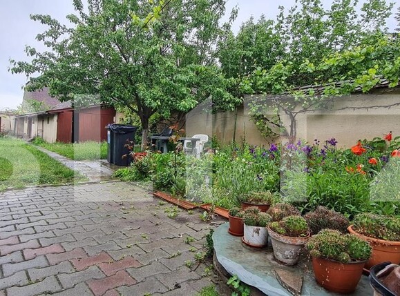 Casa de vânzare 3 camere Bod - 170657CV | BLITZ Brașov | Poza8