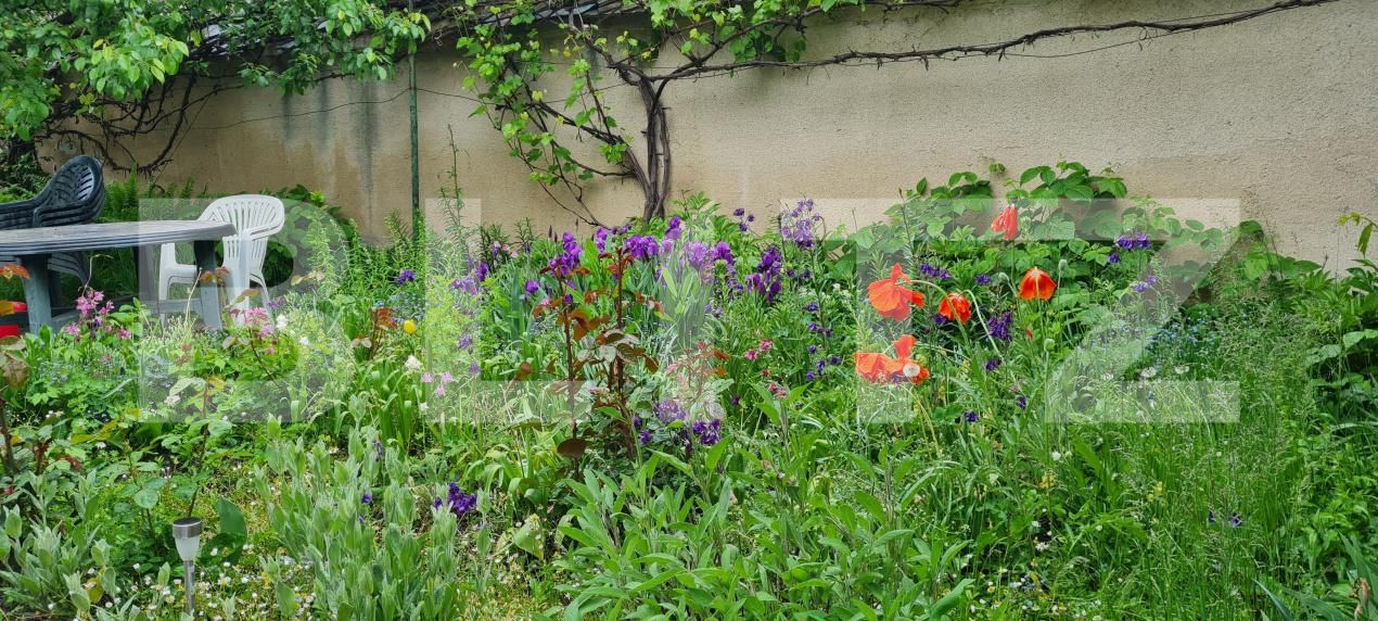 Casa de vânzare 3 camere Bod - 170657CV | BLITZ Brașov | Poza5