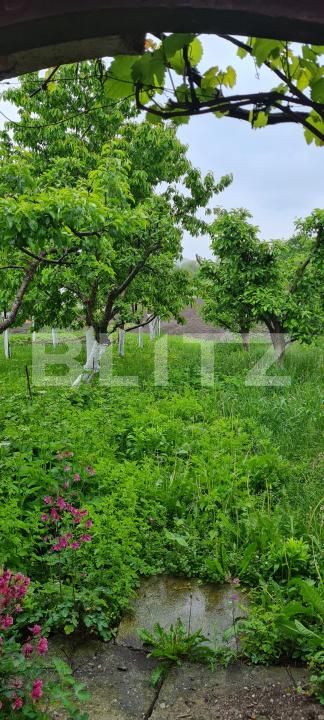 Casa de vânzare 3 camere Bod - 170657CV | BLITZ Brașov | Poza6